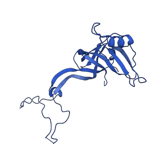 29821_8g7r_D_v1-1
Structure of the Escherichia coli 70S ribosome in complex with A-site tRNAIle(LAU) bound to the cognate AUA codon (Structure III)