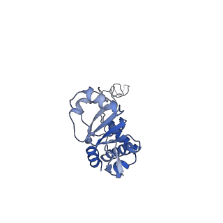 29821_8g7r_E_v1-1
Structure of the Escherichia coli 70S ribosome in complex with A-site tRNAIle(LAU) bound to the cognate AUA codon (Structure III)