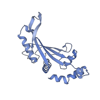 29821_8g7r_F_v1-1
Structure of the Escherichia coli 70S ribosome in complex with A-site tRNAIle(LAU) bound to the cognate AUA codon (Structure III)