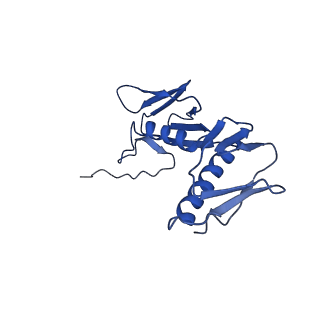 29821_8g7r_G_v1-1
Structure of the Escherichia coli 70S ribosome in complex with A-site tRNAIle(LAU) bound to the cognate AUA codon (Structure III)