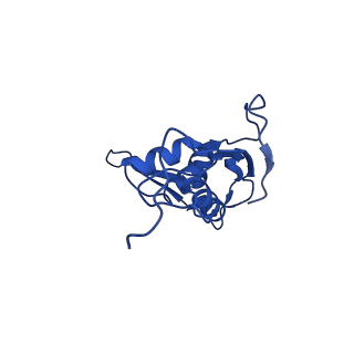 29821_8g7r_L_v1-1
Structure of the Escherichia coli 70S ribosome in complex with A-site tRNAIle(LAU) bound to the cognate AUA codon (Structure III)