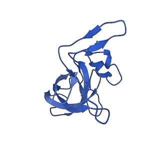 29821_8g7r_M_v1-1
Structure of the Escherichia coli 70S ribosome in complex with A-site tRNAIle(LAU) bound to the cognate AUA codon (Structure III)