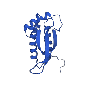 29821_8g7r_P_v1-1
Structure of the Escherichia coli 70S ribosome in complex with A-site tRNAIle(LAU) bound to the cognate AUA codon (Structure III)