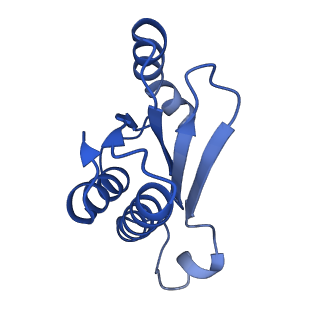 29821_8g7r_Q_v1-1
Structure of the Escherichia coli 70S ribosome in complex with A-site tRNAIle(LAU) bound to the cognate AUA codon (Structure III)
