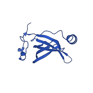 29821_8g7r_R_v1-1
Structure of the Escherichia coli 70S ribosome in complex with A-site tRNAIle(LAU) bound to the cognate AUA codon (Structure III)