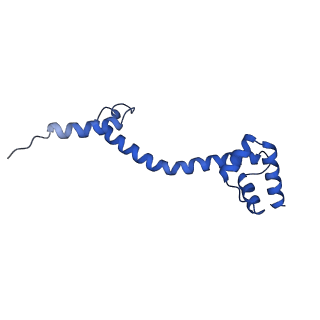 29821_8g7r_S_v1-1
Structure of the Escherichia coli 70S ribosome in complex with A-site tRNAIle(LAU) bound to the cognate AUA codon (Structure III)