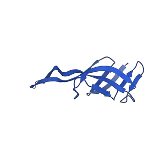 29821_8g7r_T_v1-1
Structure of the Escherichia coli 70S ribosome in complex with A-site tRNAIle(LAU) bound to the cognate AUA codon (Structure III)