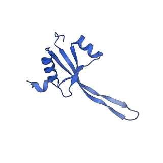 29821_8g7r_V_v1-1
Structure of the Escherichia coli 70S ribosome in complex with A-site tRNAIle(LAU) bound to the cognate AUA codon (Structure III)