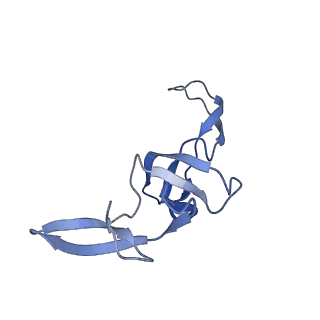 29821_8g7r_W_v1-1
Structure of the Escherichia coli 70S ribosome in complex with A-site tRNAIle(LAU) bound to the cognate AUA codon (Structure III)