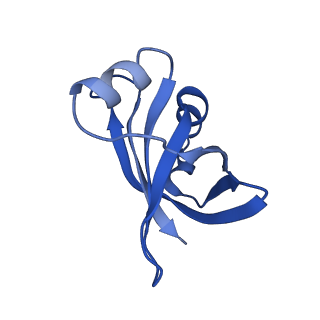 29821_8g7r_X_v1-1
Structure of the Escherichia coli 70S ribosome in complex with A-site tRNAIle(LAU) bound to the cognate AUA codon (Structure III)