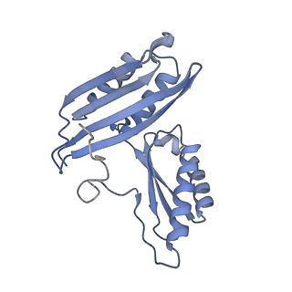 29821_8g7r_c_v1-1
Structure of the Escherichia coli 70S ribosome in complex with A-site tRNAIle(LAU) bound to the cognate AUA codon (Structure III)