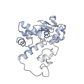 29821_8g7r_d_v1-1
Structure of the Escherichia coli 70S ribosome in complex with A-site tRNAIle(LAU) bound to the cognate AUA codon (Structure III)