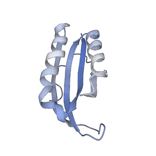 29821_8g7r_f_v1-1
Structure of the Escherichia coli 70S ribosome in complex with A-site tRNAIle(LAU) bound to the cognate AUA codon (Structure III)