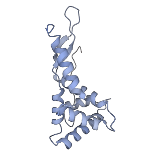 29821_8g7r_g_v1-1
Structure of the Escherichia coli 70S ribosome in complex with A-site tRNAIle(LAU) bound to the cognate AUA codon (Structure III)