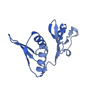 29821_8g7r_h_v1-1
Structure of the Escherichia coli 70S ribosome in complex with A-site tRNAIle(LAU) bound to the cognate AUA codon (Structure III)