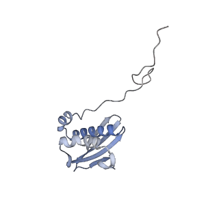 29821_8g7r_i_v1-1
Structure of the Escherichia coli 70S ribosome in complex with A-site tRNAIle(LAU) bound to the cognate AUA codon (Structure III)