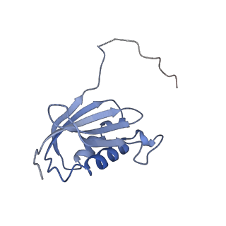 29821_8g7r_k_v1-1
Structure of the Escherichia coli 70S ribosome in complex with A-site tRNAIle(LAU) bound to the cognate AUA codon (Structure III)