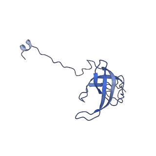 29821_8g7r_l_v1-1
Structure of the Escherichia coli 70S ribosome in complex with A-site tRNAIle(LAU) bound to the cognate AUA codon (Structure III)