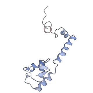 29821_8g7r_m_v1-1
Structure of the Escherichia coli 70S ribosome in complex with A-site tRNAIle(LAU) bound to the cognate AUA codon (Structure III)