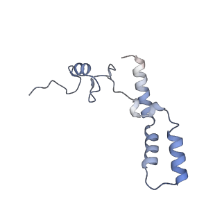 29821_8g7r_n_v1-1
Structure of the Escherichia coli 70S ribosome in complex with A-site tRNAIle(LAU) bound to the cognate AUA codon (Structure III)