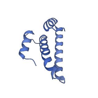 29821_8g7r_o_v1-1
Structure of the Escherichia coli 70S ribosome in complex with A-site tRNAIle(LAU) bound to the cognate AUA codon (Structure III)