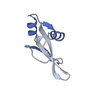 29821_8g7r_p_v1-1
Structure of the Escherichia coli 70S ribosome in complex with A-site tRNAIle(LAU) bound to the cognate AUA codon (Structure III)