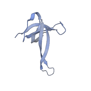 29821_8g7r_q_v1-1
Structure of the Escherichia coli 70S ribosome in complex with A-site tRNAIle(LAU) bound to the cognate AUA codon (Structure III)