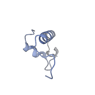 29821_8g7r_r_v1-1
Structure of the Escherichia coli 70S ribosome in complex with A-site tRNAIle(LAU) bound to the cognate AUA codon (Structure III)