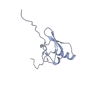 29821_8g7r_s_v1-1
Structure of the Escherichia coli 70S ribosome in complex with A-site tRNAIle(LAU) bound to the cognate AUA codon (Structure III)