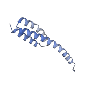 29821_8g7r_t_v1-1
Structure of the Escherichia coli 70S ribosome in complex with A-site tRNAIle(LAU) bound to the cognate AUA codon (Structure III)