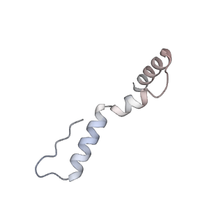 29821_8g7r_u_v1-1
Structure of the Escherichia coli 70S ribosome in complex with A-site tRNAIle(LAU) bound to the cognate AUA codon (Structure III)