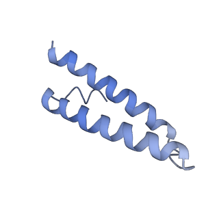 29822_8g7s_1_v1-1
Structure of the Escherichia coli 70S ribosome in complex with P-site tRNAIle(LAU) bound to the cognate AUA codon (Structure IV)