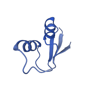 29822_8g7s_2_v1-1
Structure of the Escherichia coli 70S ribosome in complex with P-site tRNAIle(LAU) bound to the cognate AUA codon (Structure IV)