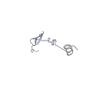 29822_8g7s_3_v1-1
Structure of the Escherichia coli 70S ribosome in complex with P-site tRNAIle(LAU) bound to the cognate AUA codon (Structure IV)