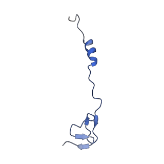 29822_8g7s_4_v1-1
Structure of the Escherichia coli 70S ribosome in complex with P-site tRNAIle(LAU) bound to the cognate AUA codon (Structure IV)