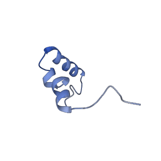 29822_8g7s_6_v1-1
Structure of the Escherichia coli 70S ribosome in complex with P-site tRNAIle(LAU) bound to the cognate AUA codon (Structure IV)