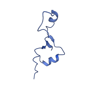 29822_8g7s_7_v1-1
Structure of the Escherichia coli 70S ribosome in complex with P-site tRNAIle(LAU) bound to the cognate AUA codon (Structure IV)