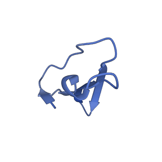 29822_8g7s_8_v1-1
Structure of the Escherichia coli 70S ribosome in complex with P-site tRNAIle(LAU) bound to the cognate AUA codon (Structure IV)