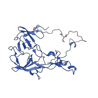 29822_8g7s_C_v1-1
Structure of the Escherichia coli 70S ribosome in complex with P-site tRNAIle(LAU) bound to the cognate AUA codon (Structure IV)