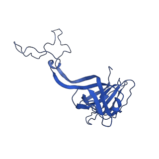 29822_8g7s_D_v1-1
Structure of the Escherichia coli 70S ribosome in complex with P-site tRNAIle(LAU) bound to the cognate AUA codon (Structure IV)