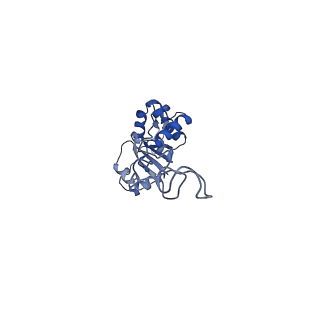 29822_8g7s_E_v1-1
Structure of the Escherichia coli 70S ribosome in complex with P-site tRNAIle(LAU) bound to the cognate AUA codon (Structure IV)