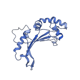 29822_8g7s_F_v1-1
Structure of the Escherichia coli 70S ribosome in complex with P-site tRNAIle(LAU) bound to the cognate AUA codon (Structure IV)