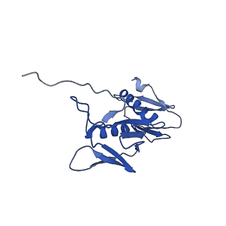 29822_8g7s_G_v1-1
Structure of the Escherichia coli 70S ribosome in complex with P-site tRNAIle(LAU) bound to the cognate AUA codon (Structure IV)