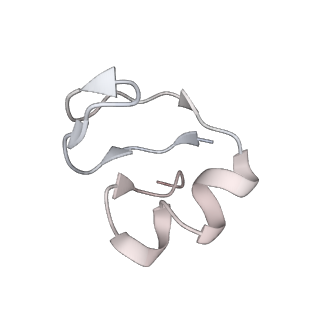 29822_8g7s_H_v1-1
Structure of the Escherichia coli 70S ribosome in complex with P-site tRNAIle(LAU) bound to the cognate AUA codon (Structure IV)