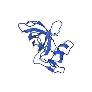 29822_8g7s_M_v1-1
Structure of the Escherichia coli 70S ribosome in complex with P-site tRNAIle(LAU) bound to the cognate AUA codon (Structure IV)