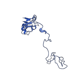 29822_8g7s_N_v1-1
Structure of the Escherichia coli 70S ribosome in complex with P-site tRNAIle(LAU) bound to the cognate AUA codon (Structure IV)