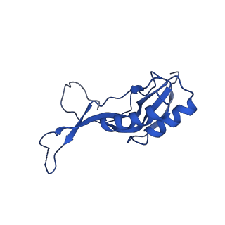 29822_8g7s_O_v1-1
Structure of the Escherichia coli 70S ribosome in complex with P-site tRNAIle(LAU) bound to the cognate AUA codon (Structure IV)