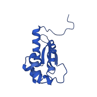 29822_8g7s_P_v1-1
Structure of the Escherichia coli 70S ribosome in complex with P-site tRNAIle(LAU) bound to the cognate AUA codon (Structure IV)