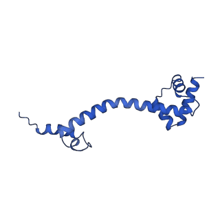 29822_8g7s_S_v1-1
Structure of the Escherichia coli 70S ribosome in complex with P-site tRNAIle(LAU) bound to the cognate AUA codon (Structure IV)
