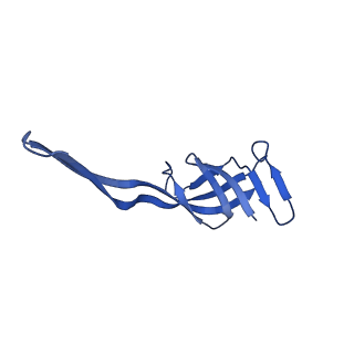 29822_8g7s_T_v1-1
Structure of the Escherichia coli 70S ribosome in complex with P-site tRNAIle(LAU) bound to the cognate AUA codon (Structure IV)